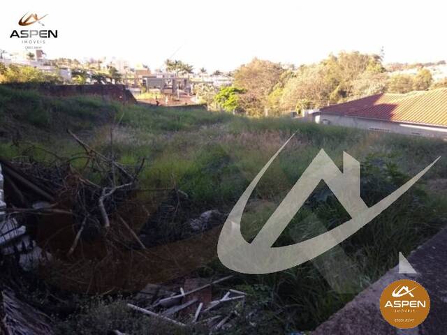 Terreno para Venda em Arapongas - 3