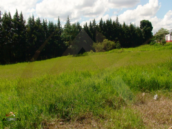 #545 - Terreno para Venda em Arapongas - PR - 1