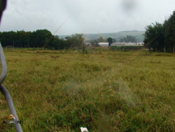 #545 - Terreno para Venda em Arapongas - PR - 3