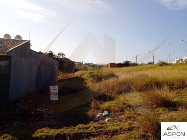 #868 - Terreno para Venda em Arapongas - PR - 1