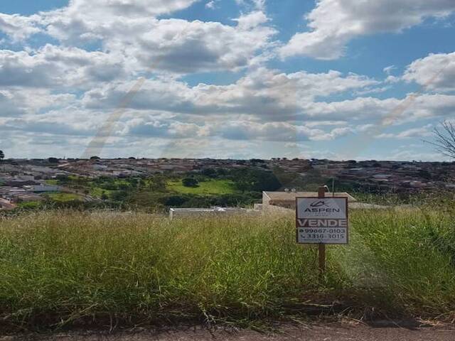 #1137 - Terreno para Venda em Arapongas - PR - 1
