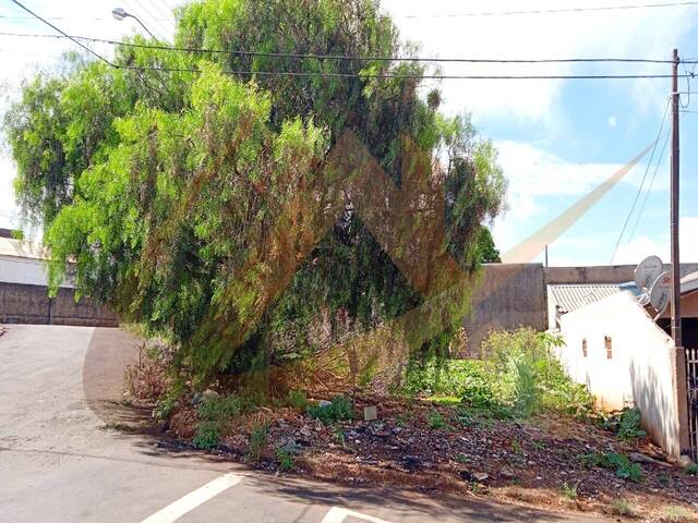 #1578 - Terreno para Venda em Arapongas - PR - 1