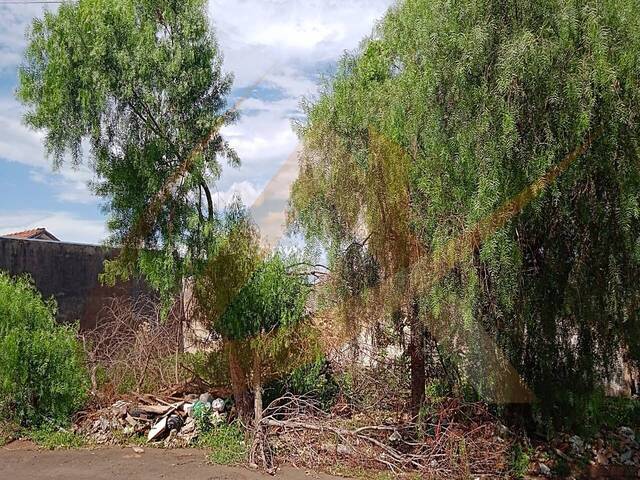 Terreno para Venda em Arapongas - 4