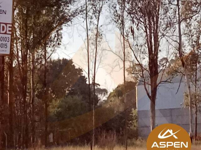 #1380 - Terreno para Venda em Arapongas - PR