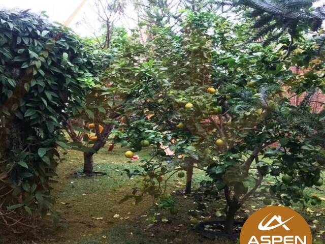 #1812 - Casa para Venda em Arapongas - PR - 2