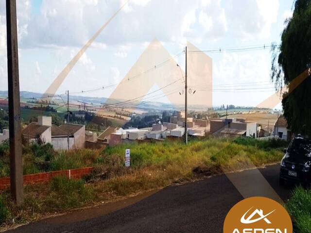Terreno para Venda em Arapongas - 3
