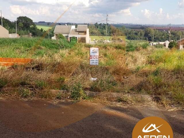 Terreno para Venda em Arapongas - 2