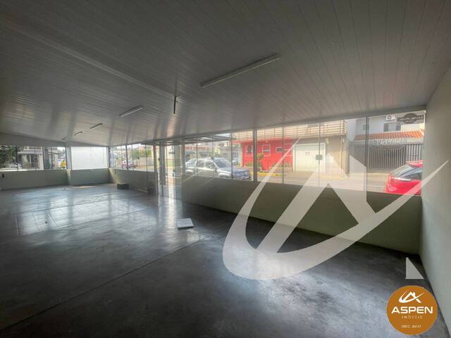 #2540 - Sala para Locação em Arapongas - PR - 3