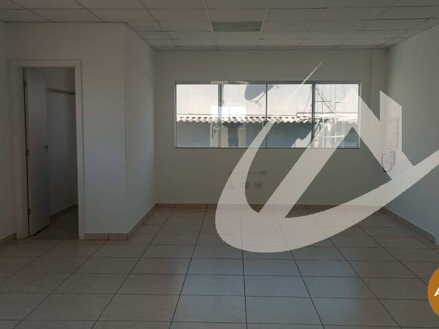 Sala para Locação em Arapongas - 4