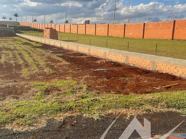 Terreno para Venda em Arapongas - 4