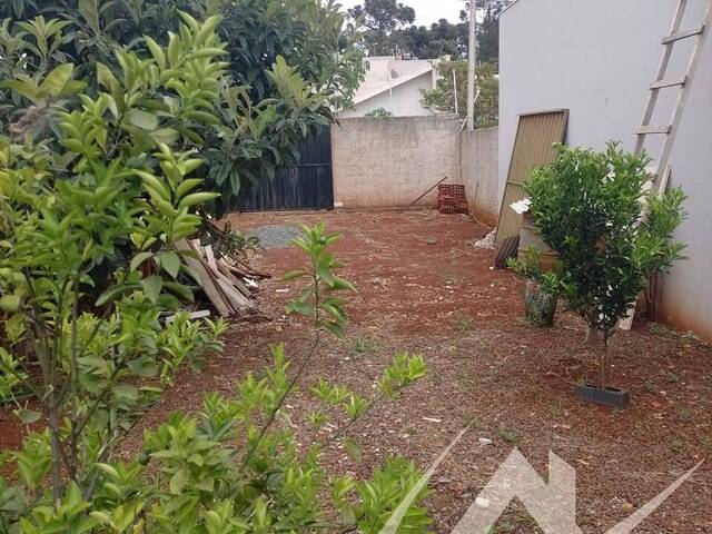 #2688 - Área para Venda em Arapongas - PR - 2
