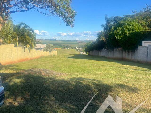 #2869 - Terreno para Venda em Arapongas - PR - 1