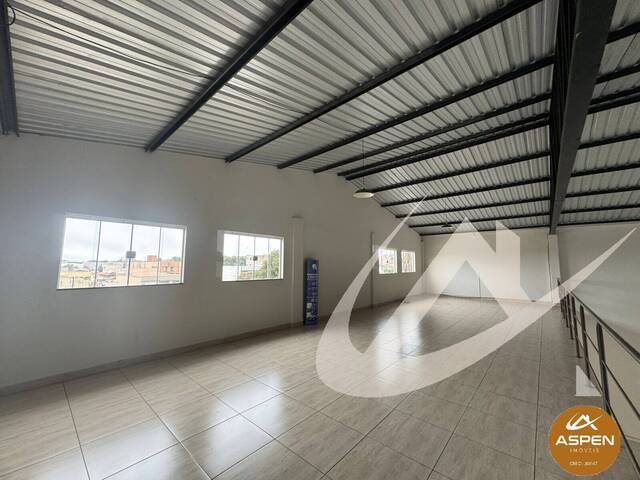 #2923 - Sala para Locação em Arapongas - PR - 3