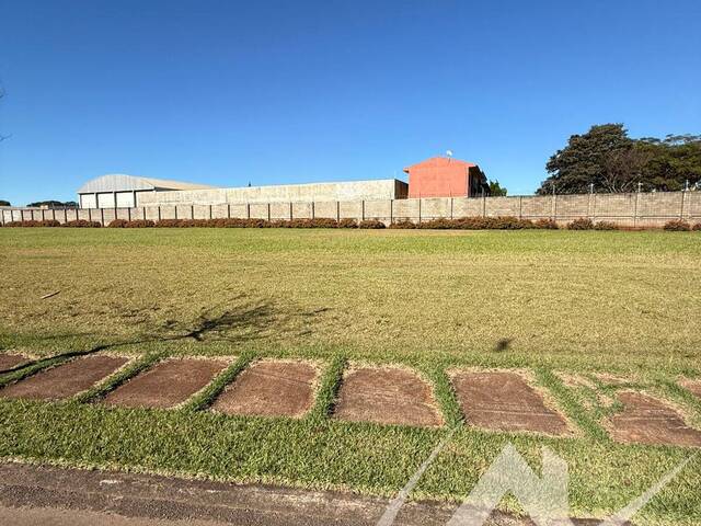 #2953 - Terreno para Venda em Arapongas - PR - 2
