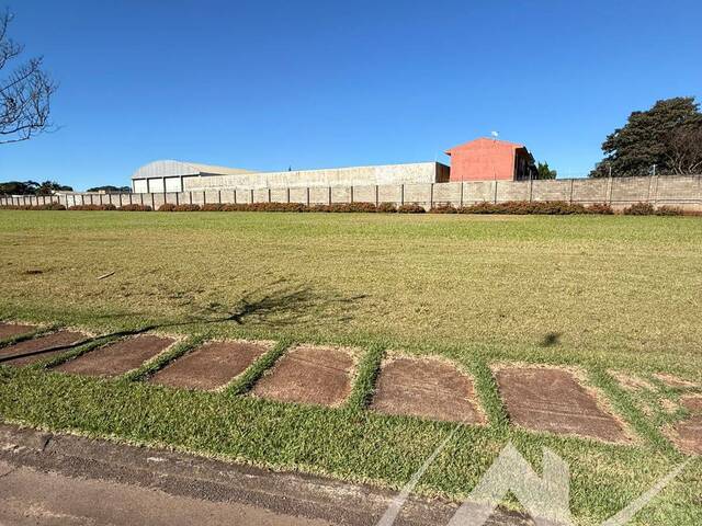 #2953 - Terreno para Venda em Arapongas - PR - 3