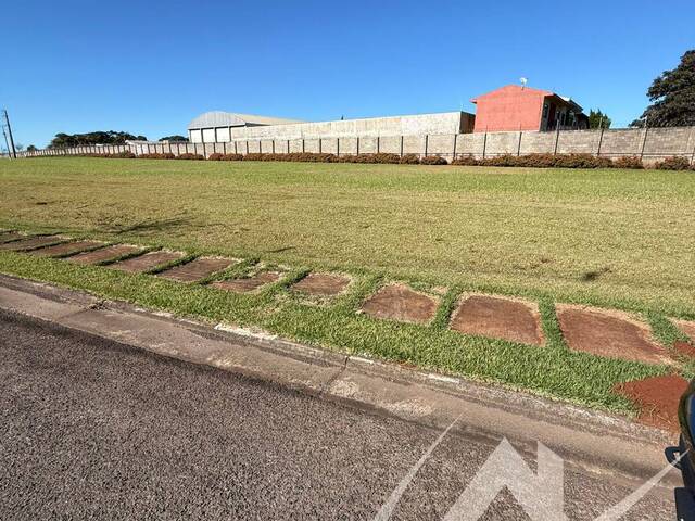 Terreno para Venda em Arapongas - 5