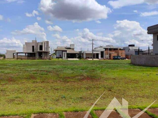 #3020 - Terreno em condomínio para Venda em Arapongas - PR - 1