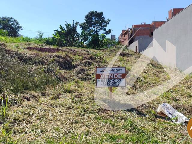 #2552 - Terreno para Venda em Arapongas - PR - 1
