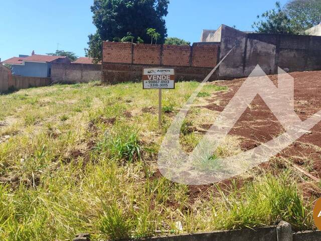 #3048 - Área para Venda em Arapongas - PR - 1