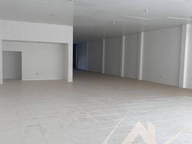 #3077 - Salão Comercial para Locação em Arapongas - PR - 3