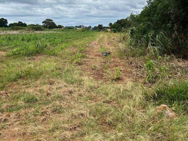 #3092 - Área para Venda em Sabáudia - PR - 2