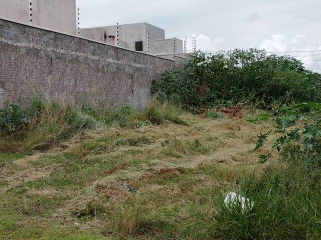 #3135 - Terreno para Venda em Arapongas - PR - 1