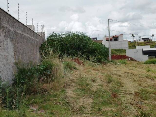#3135 - Terreno para Venda em Arapongas - PR - 2