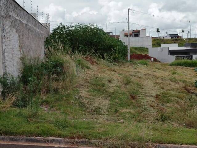 #3135 - Terreno para Venda em Arapongas - PR - 3