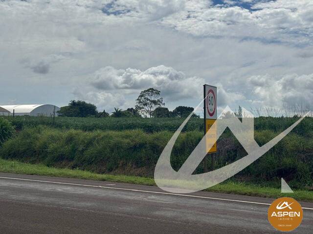 #3137 - Área para Venda em Arapongas - PR - 1
