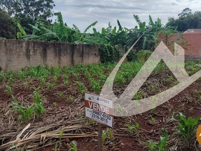 #3157 - Área para Venda em Arapongas - PR - 2