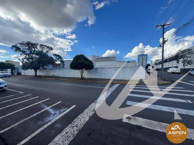 Venda em Centro - Arapongas