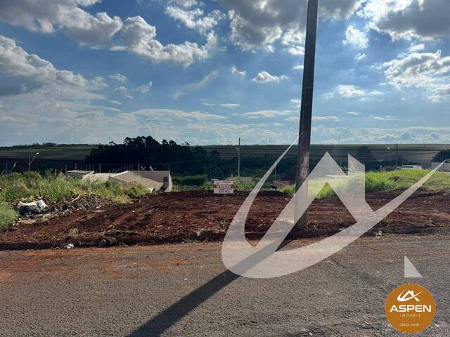 #3166 - Área para Venda em Arapongas - PR - 2
