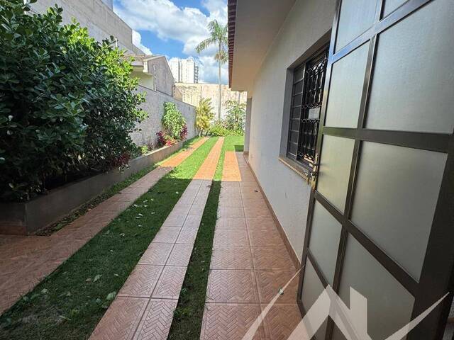 Casa para Locação em Arapongas - 3