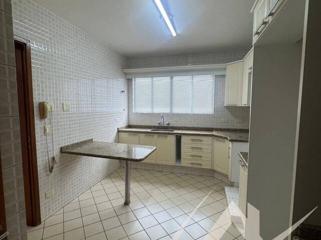 Locação em Centro - Arapongas