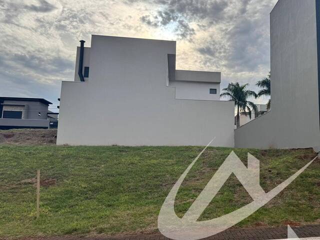 Venda em Centro - Arapongas