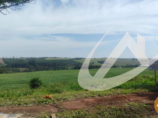 Terreno para Venda em Arapongas - 2