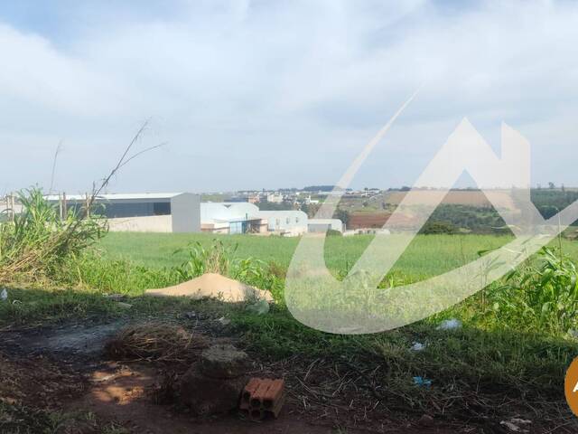 Terreno para Venda em Arapongas - 3