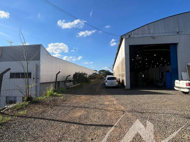 #3340 - Sala para Locação em Arapongas - PR - 3